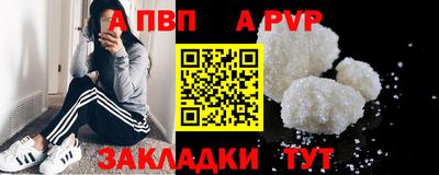 прущие грибы Малгобек