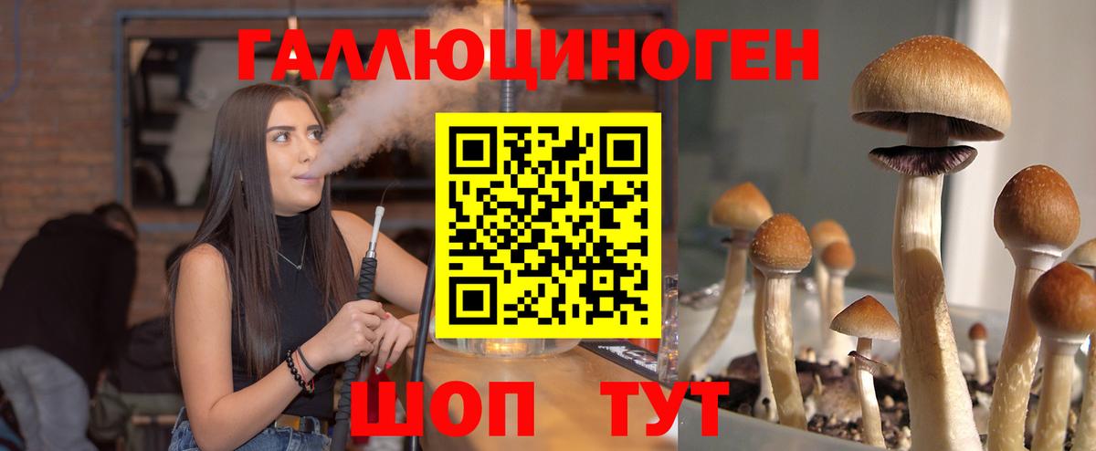 Галлюциногенные грибы прущие грибы Великий Новгород